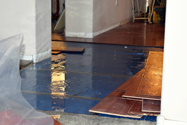 Professional Basement Flooding technician working in Concrete, WA